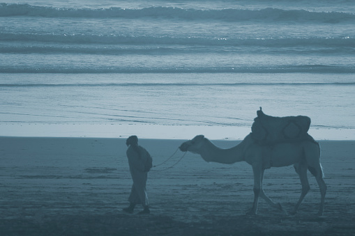 Camel and Berber tribesman at Taghazout, Morocco. With the sun reflected on the sea and silhouetting them against the waves, the tribesman is unrecognizable.