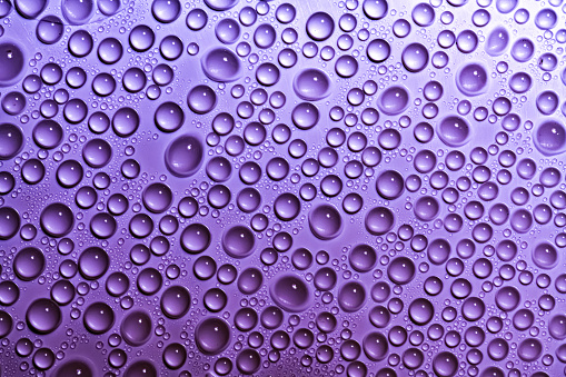 Water drops purple background