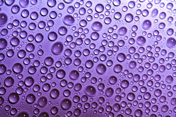Water drops purple background Water drops purple background lorikeet photos stock pictures, royalty-free photos & images
