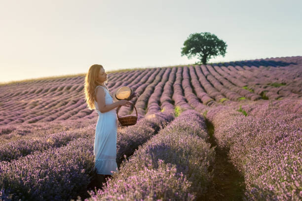 istock Woman in a lavender field 1214452206