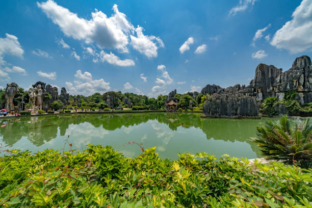 Stone forest The Stone forest in Kunming, China yunnan province stock pictures, royalty-free photos & images