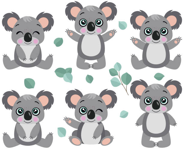 Set Of Koalas Of Different Positions Stock Illustration - Download Image  Now - Koala, Friendship, Cartoon - iStock