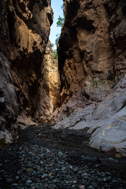 istock Gorge leading to Bankouale's waterfall 1214456471
