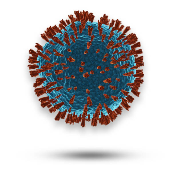 istock Coronavirus or COVID-19 cells in human body. 1214456785