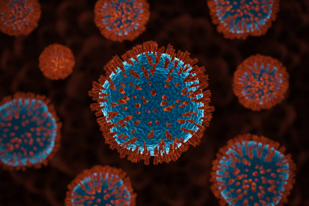 istock Coronavirus or COVID-19 cells in human body. 1214456788