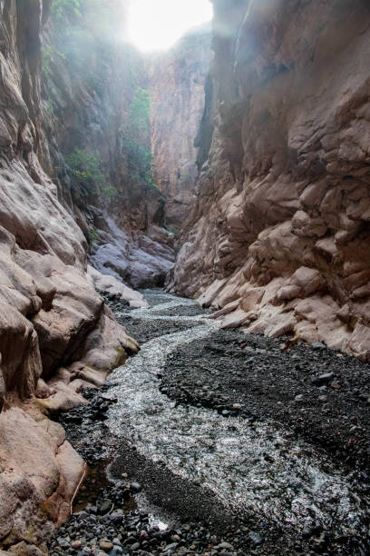 istock Gorge leading to Bankouale's waterfall 1214457656