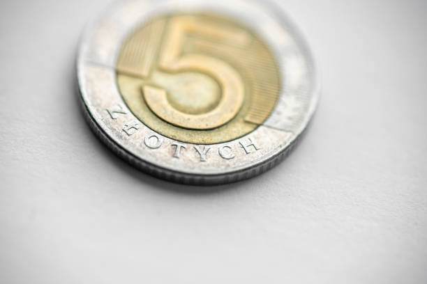 Polish 5 Zloty coin it is well used and is taken with a macro lens and natural light giving a narrow depth of field.