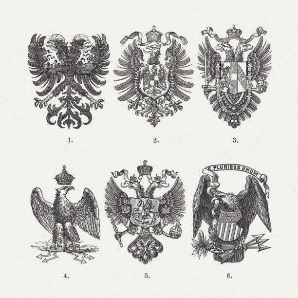 historische kaiseradler, holzstiche, erschienen 1893 - deutsches wappen stock-grafiken, -clipart, -cartoons und -symbole