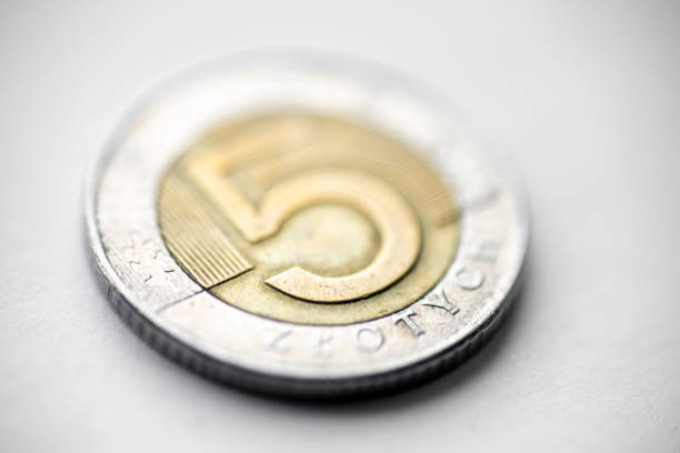 istock Polish 5 Zloty coin 1214469685