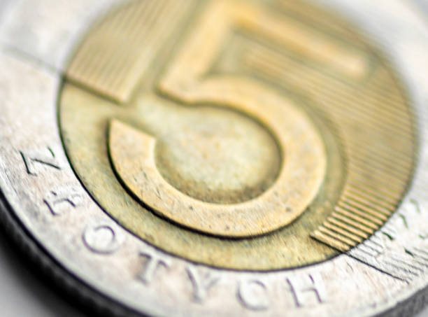 istock Polish 5 Zloty coin 1214469829