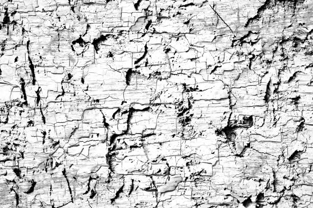 istock Abstract grunge  black and white  cracked   paint wall  cracked texture  background 1214470324