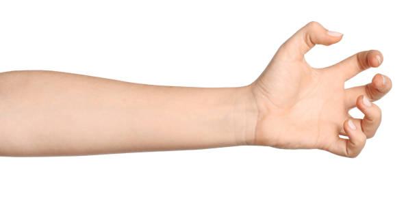 istock Gesture of Caucasian hand 1214471339