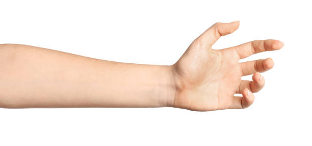 istock Gesture of Caucasian hand 1214471347