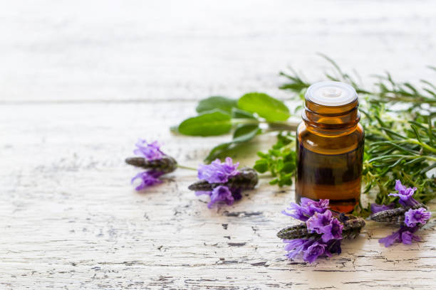 pflanzliches aromaöl - herbal medicine rosemary herb aromatherapy stock-fotos und bilder