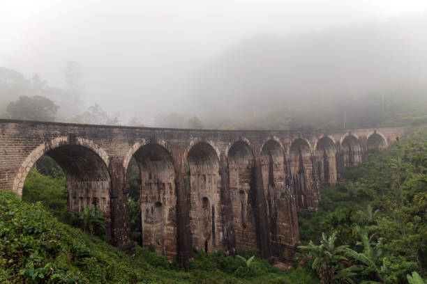 istock rainforest morning fog Sri Lanka Railway Viaduct 1214474543