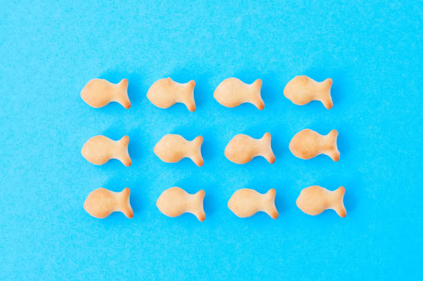 Crunchy fish crackers on a blue background. Crunchy fish crackers on a blue background. Flock symbol concept. goldfish snack stock pictures, royalty-free photos & images