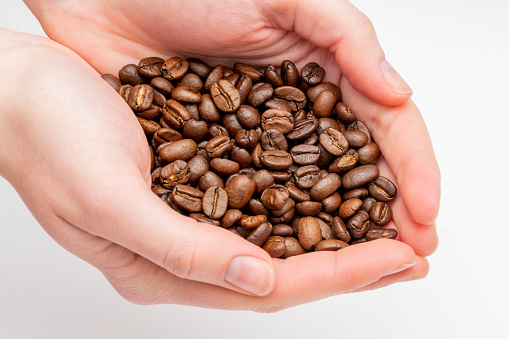 Hand full of fresh roasted coffee beans holding dark seeds between hands