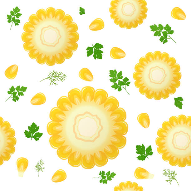 ilustrações de stock, clip art, desenhos animados e ícones de corn cob, isolated on white background. ripe corn with parsley leaves. vector illustration. seamless pattern. - corn on the cob corn corn crop white background