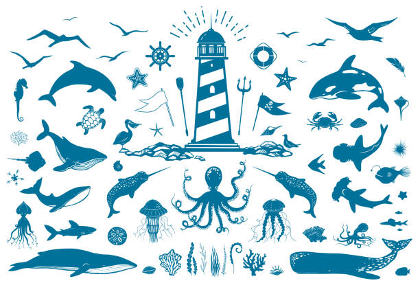 Vector nautical set with lighthouse and sea animals. Whales, dolphins, fish, seagulls, corals and water plants isolated on white. Big set of vector illustrations with marine creatures. Vector nautical set with lighthouse and sea animals. Whales, dolphins, fish, seagulls, corals and water plants isolated on white. Big set of vector illustrations with marine creatures. Vector EPS 10 harmonia stock illustrations