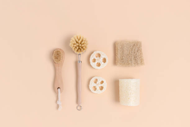 layout of brushes made of bamboo and loofah on a beige background. - 11321 imagens e fotografias de stock