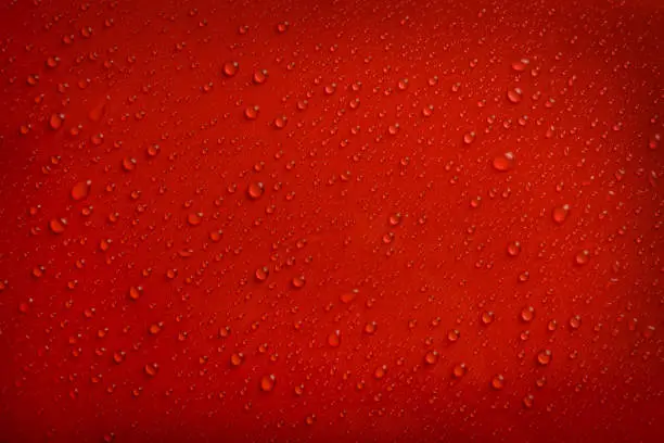 Photo of Beautiful red water drops background