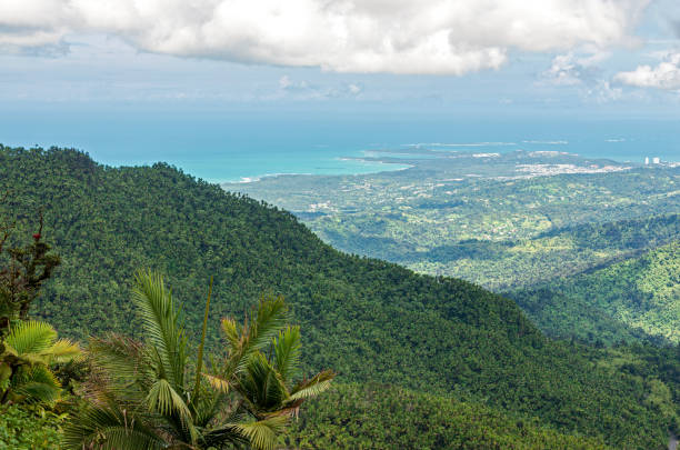 luquillo mountains overlooking el yunque rainforest and atlantic coast in puerto rico