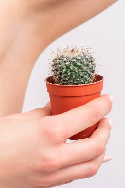 istock Cactus in pot near armpit. 1214488200