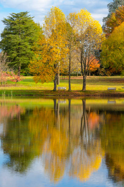istock Autumn colored trees next to the pond 1214489124