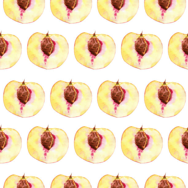 акварель ганда обращается бесшовные картины с персиком половину фруктов с семенами изолированы на белом фоне. - nectarine peach backgrounds white stock illustrations