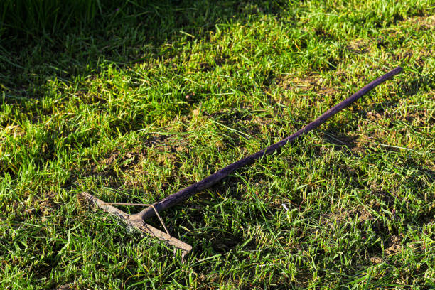 istock Garden Arrangement and Scythe and Grass 1214490521