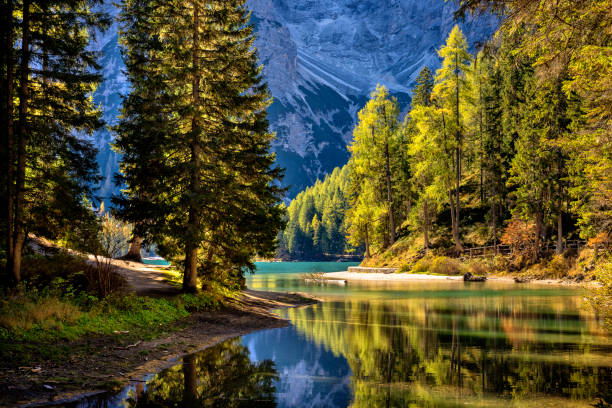 ブレイズ湖、ドロミテ、トレンティーノアルトアディジェ、イタリア - tranquil scene trentino european alps dolomites ストックフォトと画像