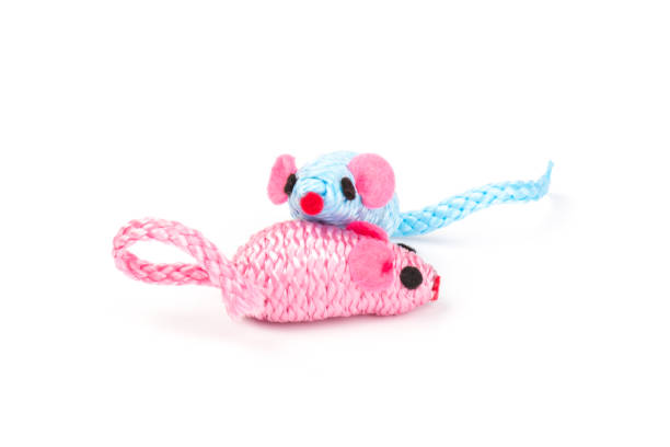 istock blue and pink toy mouse for pet isolated on white background 1214492541