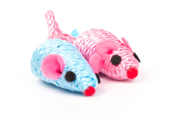 istock blue and pink toy mouse for pet isolated on white background 1214492545