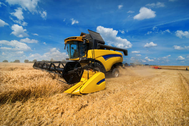 300+ New Holland Stock Photos, Pictures & Royalty-Free Images - iStock  New  holland honeyeater, St petersburg new holland, New holland agricultural  tractor