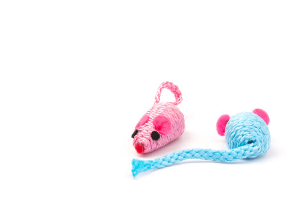 istock blue and pink toy mouse for pet isolated on white background 1214493187
