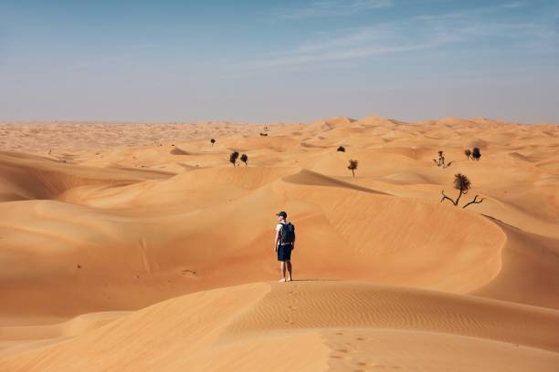 istock Man in the middle of desert 1214495719