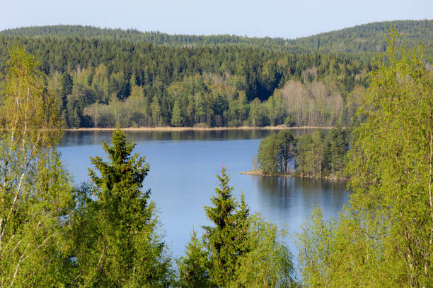 istock Beautiful sunny summer day in Kangasala Finland 1214496894