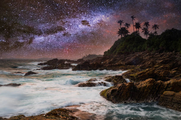 istock Tropical beach with palm trees under starry sky with Milky Way 1214499616