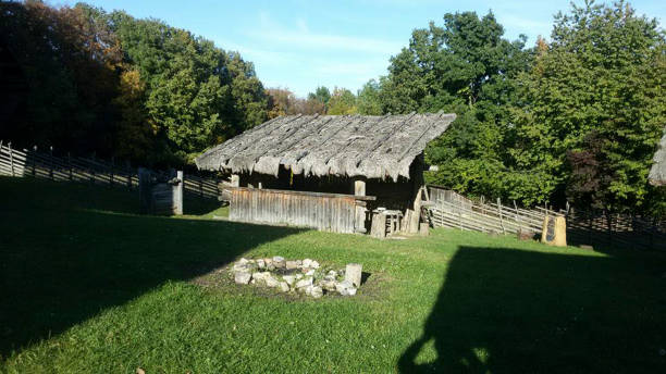 istock a hut in the woods 1214499662
