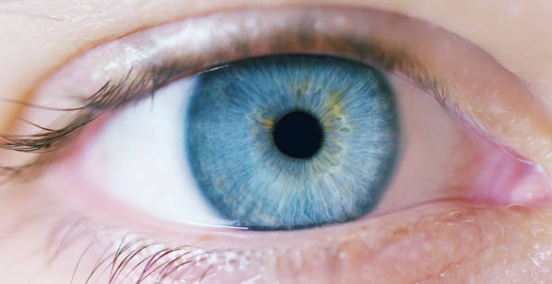 istock Perfect blue eye macro of a young guy. 1214499905