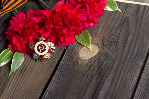 Selective focus.Victory Day.The may 9 celebrations.The girl holds her grandfather's Order of the red Star.Red carnations on a wooden background.Memorial day.Greeting card.copy space. Flat lay enfoque selectivo. día de la victoria.las celebraciones de mayo 9. la chica sostiene la orden de los claveles star.red rojo, cinta de san jorge, cartas y fotos antiguas sobre un fondo de madera. día de los caídos. tarjeta de felicitación