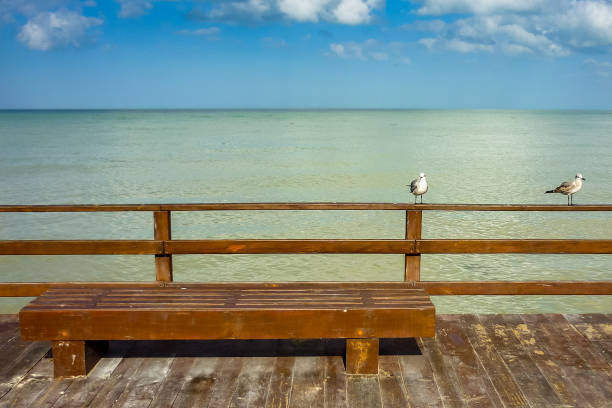 морской пейзаж на побережье юкатана в мексиканском заливе - beach bench caribbean sea cloudscape стоковые фото и изображения