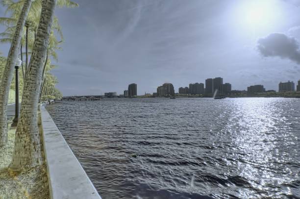 istock Infrared Palm Beach Skyline 1214506533