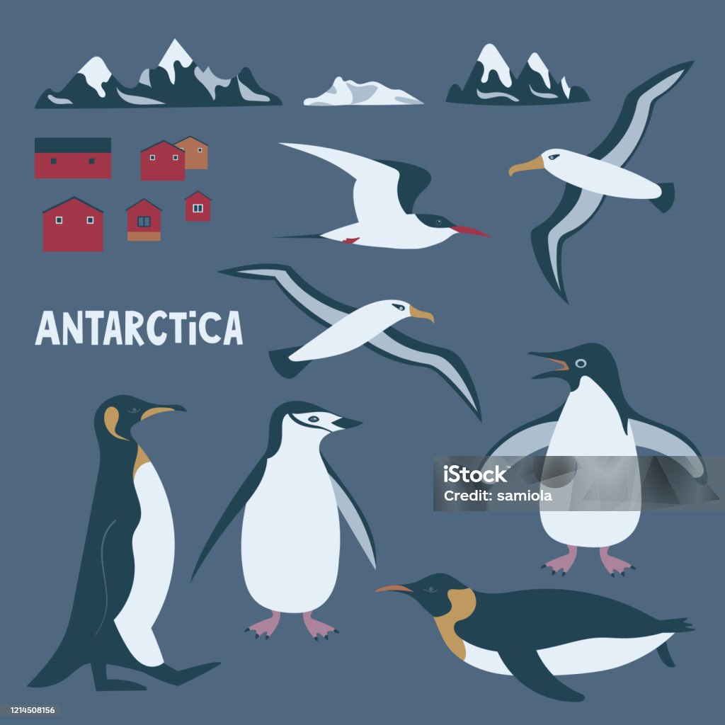 Sự sống của chim cánh cụt hoàng đế tại Nam Cực đang lâm nguy | Môi trường |  Vietnam+ (VietnamPlus)