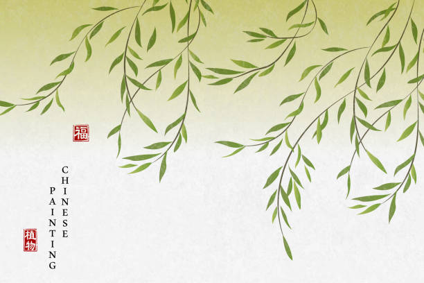 Chinese ink painting art background plant elegant willow. Chinese translation : Plant and Blessing. Chinese ink painting art background plant elegant willow. Chinese translation : Plant and Blessing. willow tree stock illustrations