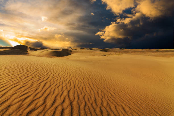 belles dunes de sable dans le désert du sahara au coucher du soleil - oasis sand sand dune desert photos et images de collection