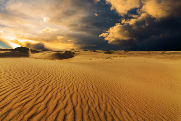 Beautiful sand dunes in the Sahara desert at sunset Deserts and Sand Dunes Landscape at sunset. oasis sand sand dune desert stock pictures, royalty-free photos & images