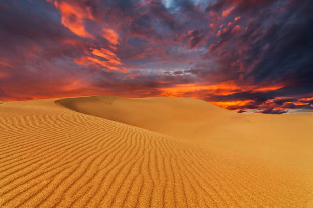 istock Beautiful sand dunes in the Sahara desert at sunset 1214511362