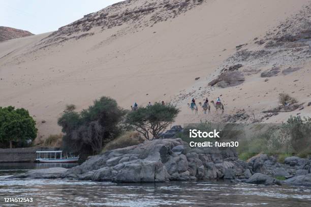 Camello On The Banks Of The Nile River As It Passes Through The Nubian People In Aswan Egypt Afriaca Stock Photo - Download Image Now