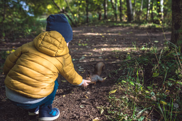 istock Little boy feeds a squirrel in the woods 1214514378